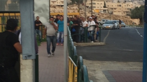 הסגר בוטל - חדשות  במעלה נט
