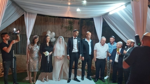 אדמדמת, כל מה שרציתם לדעת - אדמדמת במעלה נט