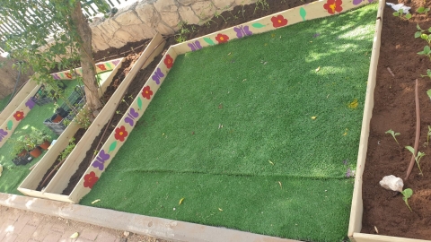תוצרת פרח המדבר - חינוך במעלה נט
