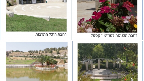 מתחתנים בקורונה - קהילה במעלה נט