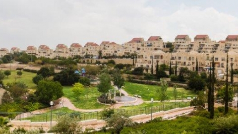 פרויקט מיוחד של זמן מעלה בעקבות עליית מחירי הדירות במעלה אדומים - רותח מתמיד! - חדשות  במעלה נט