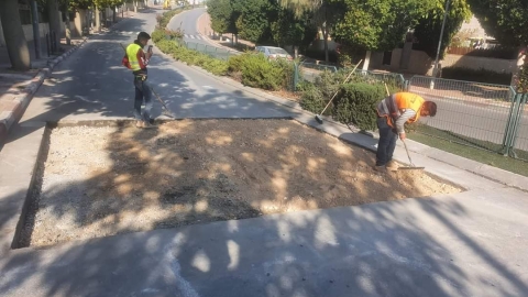 שלושה במפרים הוסרו  בצמח השדה - חדשות  במעלה נט