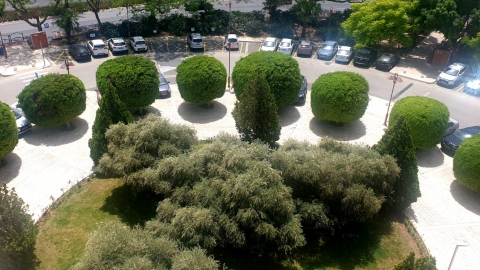 איסור חנייה במתחם העירייה - חדשות  במעלה נט