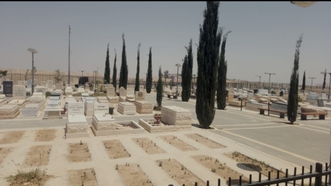 עד 120 - חדשות  במעלה נט