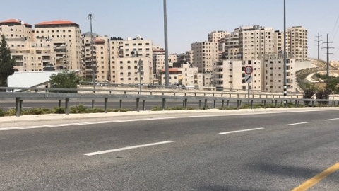 הפותח/ משה זיגדון  - טבעת חנק - חדשות  במעלה נט