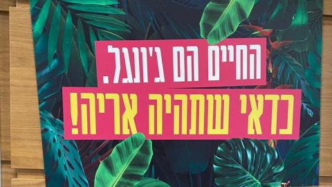 טרפו ת'חיים - קהילה במעלה נט