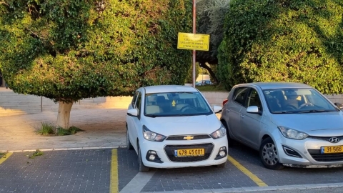 עדיף מאוחר מאשר לעולם לא - חדשות  במעלה נט