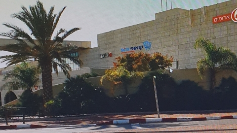 תקיפה סתמית - חדשות  במעלה נט