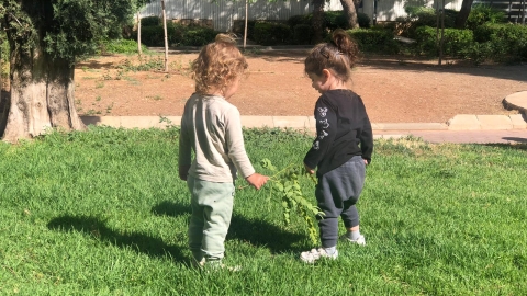 המשטרה לא מצאה חומרי הרדמה  הורי הילדים במעון, לא רגועים - חדשות  במעלה נט