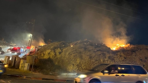 בזוית אישית/ משה זיגדון / צריך טיפול שורש בעיסאוויה - חדשות  במעלה נט