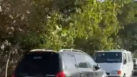 מסדירים חנייה בפארק ישראל - חדשות  במעלה נט