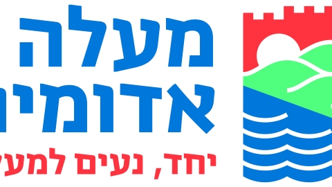המיתוג  החדש  של העיר - קהילה במעלה נט