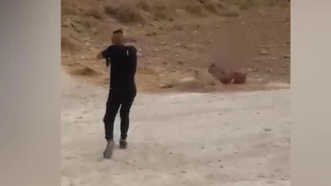 ירד מהרכב וירה בכלב למוות - פלילים במעלה נט