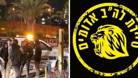 "שלפנו את הצעירה מהרכב והחזרנו אותה הביתה" - חדשות  במעלה נט