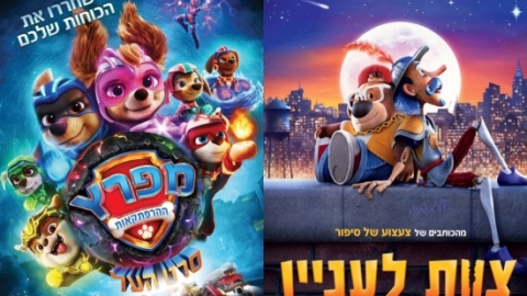 יוצאים להפוגה בהיכל התרבות - תרבות ופנאי במעלה נט