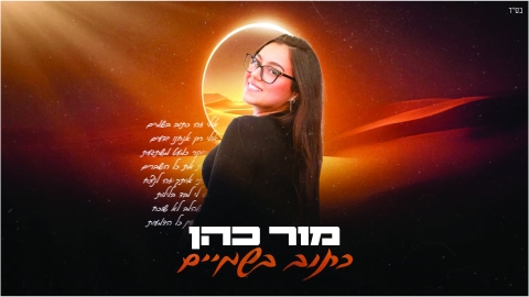 אדמדמת המדור הכי נוצץ בעיר - אדמדמת במעלה נט