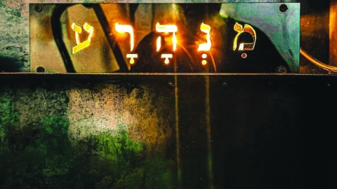תערוכת השבעה באוקטובר - תרבות ופנאי במעלה נט