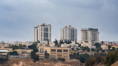 מעלה אדומים מקבלת את פניהם   של התושבים החדשים - חדשות  במעלה נט