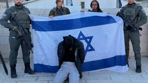 נעצר המחבל שהשליך מטענים לעבר מוצב צבאי - חדשות  במעלה נט