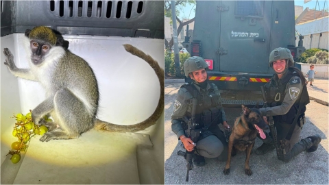 הפנים האנושיות של הלוחמים והשוטרים שמצילים בעלי חיים - חדשות  בזמן ירושלים