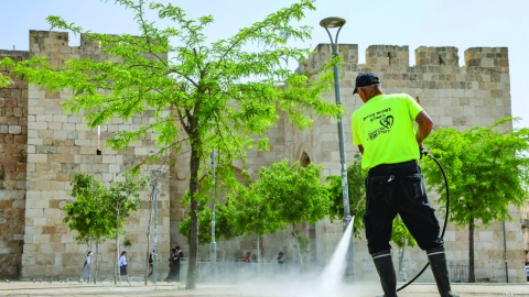 מהפכת הניקיון בבירה עולה מדרגה: טכנולוגיה, תגבור כוחות ותקציבי ענק - חדשות  בזמן ירושלים